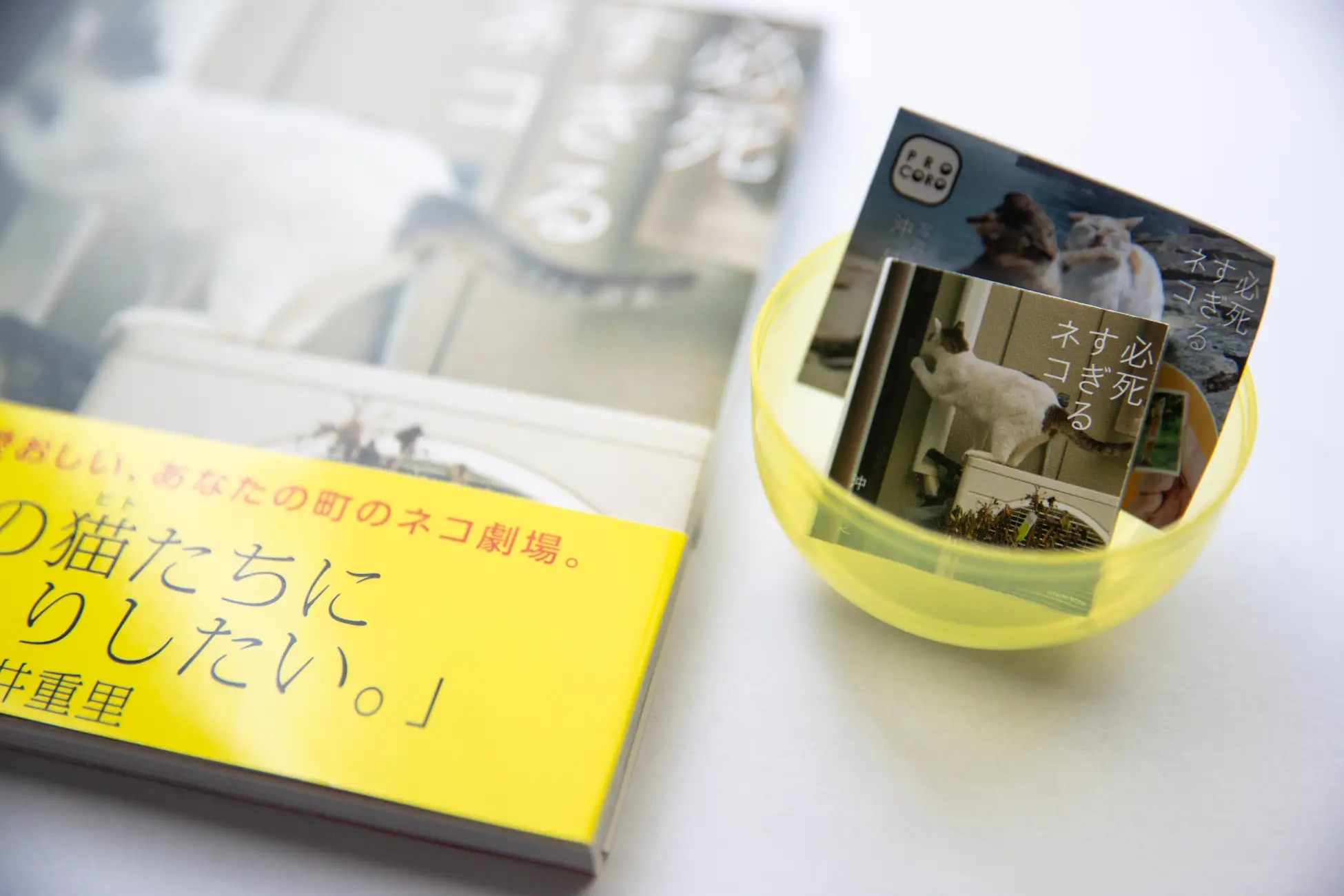 BOOKPR